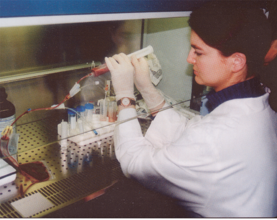 A. Gorcy w pracowni cytometrii przepywowej